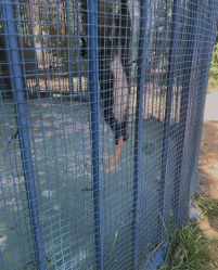 -萌宠亲子动物乐园(槐房万达店)