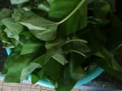 -嘉百乐超市(新东街店)