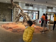 -自贡恐龙博物馆