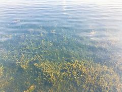 -尚贤河湿地