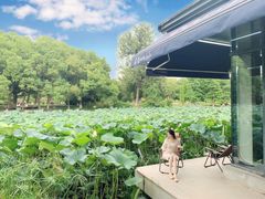 -Beans Solo豆号咖啡(百家湖花园店)