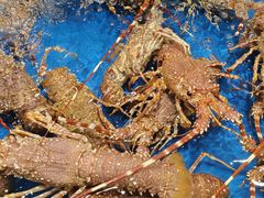 -海景壹号大酒店(惠钱路店)