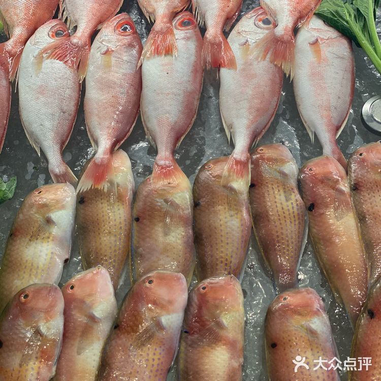 可以吃鱼饭啦潮汕菜