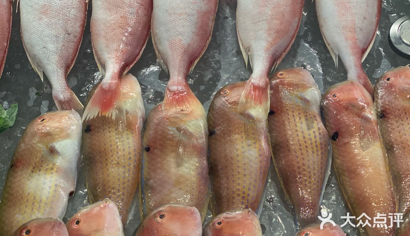 可以吃鱼饭啦潮汕菜