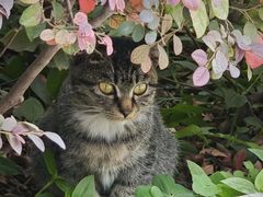 -宝通禅寺