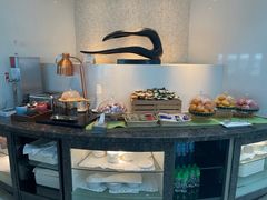 -虹桥机场国航贵宾室v8