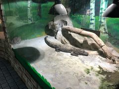 -上海大自然野生昆虫馆(东方明珠·爬宠昆虫探索中心)
