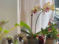 -街角 T·COFFEE 融合料理·BISTRO(车公庙店)