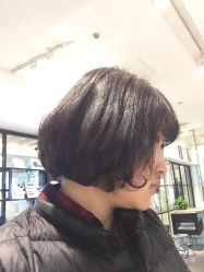 -东方麒麟·潘多拉SALON