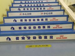 -瑞鹏宠物医院·爱宠堂·骨外专科(西荷分院)