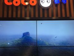 门面-CoCo都可(北新桥店)
