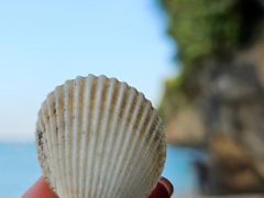 -石螺口海滩