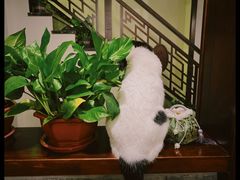 -一盃山水咖啡茶馆