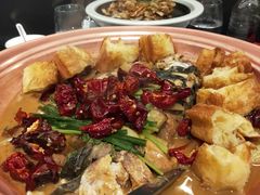 -柿合缘新京菜(国金中心商场店)