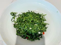 红果枸杞苗-清真·宁夏印象·盐池滩羊肉体验店(江宁路店)