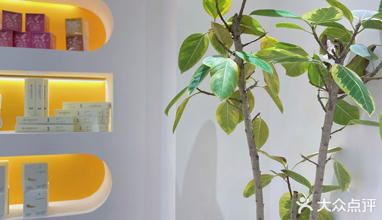 奶茶好喝还是不胖？我都要！