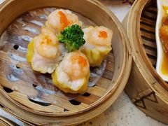 金牌虾饺皇-点都德(千灯湖环宇城店)