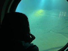 -白鹤梁水下博物馆