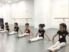 -西安小天鹅艺术团(金花路校区)