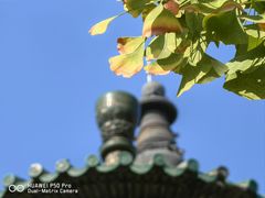 -北京石刻艺术博物馆