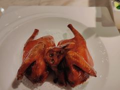 红烧乳鸽-陶陶居·雅园(凯华国际店)