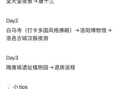 -洛阳国际大酒店