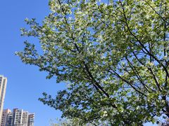 -四季美汤包(户部巷店)