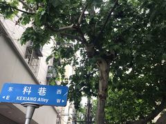 -陶记正宗德州扒鸡(科巷店)