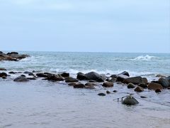 -广东惠东海龟国家级自然保护区