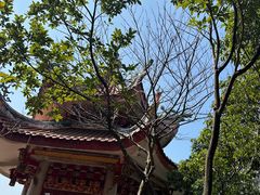 -福建泉州仙公山风景名胜区