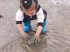 -奉贤海滩