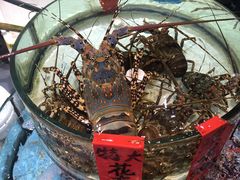 -强记海鲜·大排档(蛇口新街店)