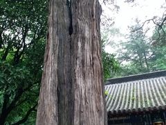-青岛崂山太清宫