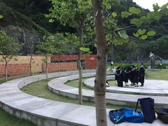-香港大学