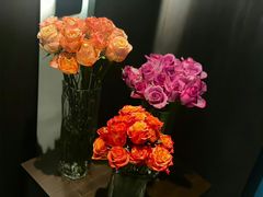 -康悦印象·美容·茶艺·国际芳香疗法(海悦店)