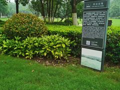 -合肥滨湖国家森林公园