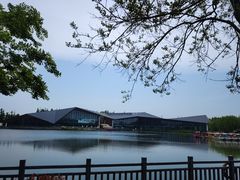 -上海长兴岛郊野公园