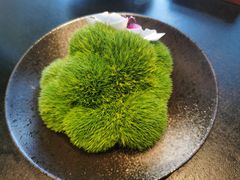 -四季民福烤鸭店(外滩外白渡桥店)