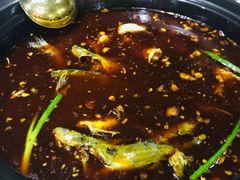 -金海椒罐罐鲢鱼(东方桂苑店)