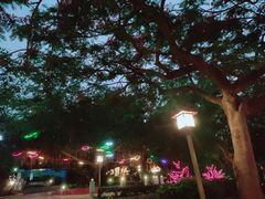 -江门古兜温泉小镇