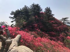 -木兰云雾山
