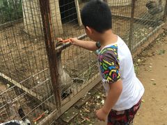 -意大利农场度假村