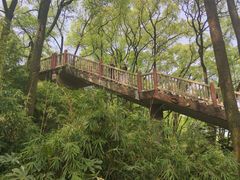 -南山植物园
