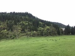 -武陵山森林公园