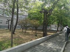 -中央民族大学
