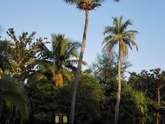 -三亚珠江南田温泉度假区