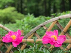 -中山公园