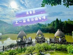 -美的鹭湖森林度假区