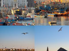 -海胆小馆(东北水饺·春柳店)