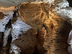 -怀托摩萤火虫洞